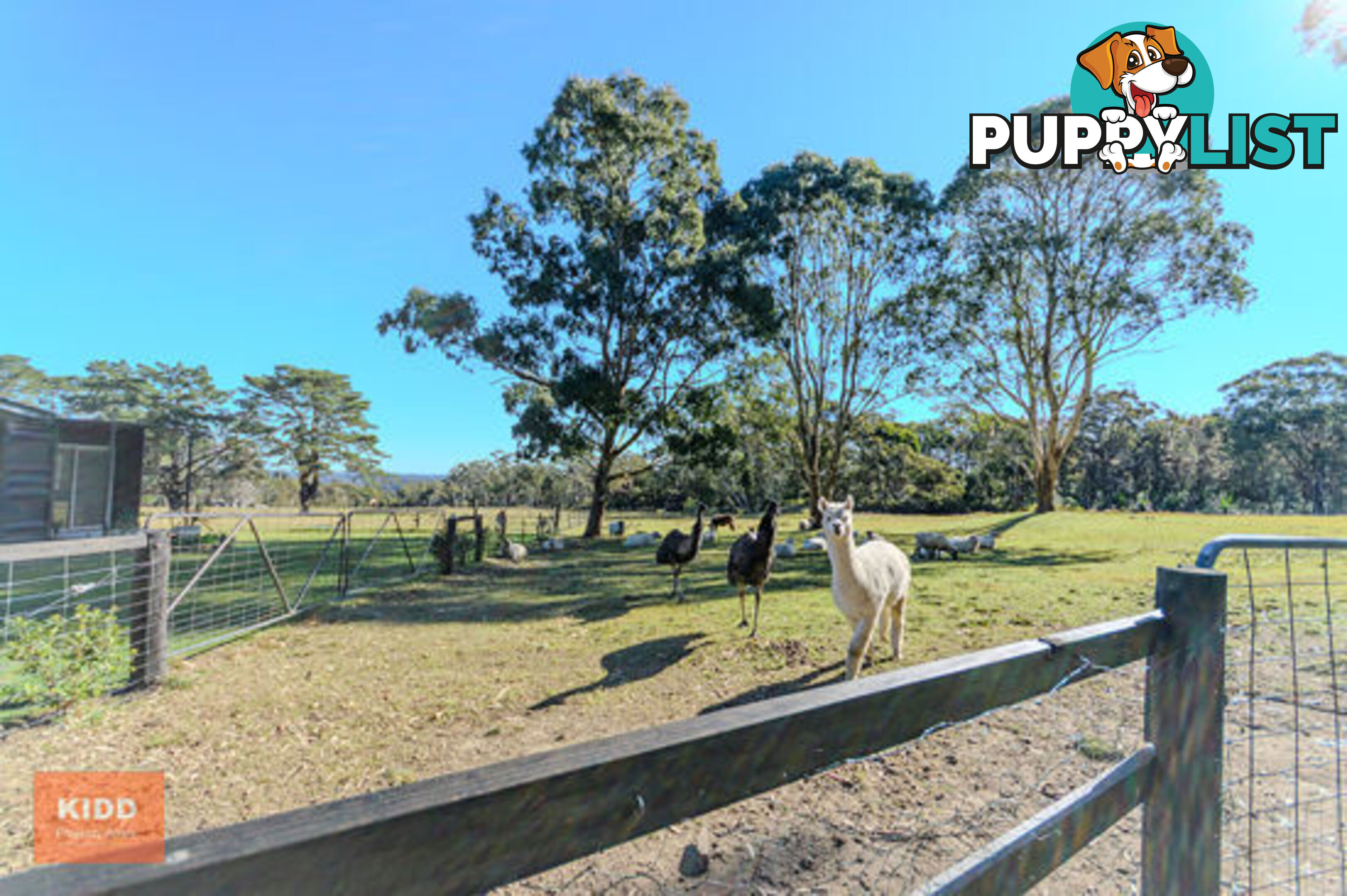 68 Maroney Road MANGROVE MOUNTAIN NSW 2250