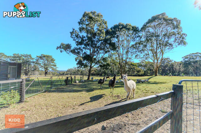 68 Maroney Road MANGROVE MOUNTAIN NSW 2250