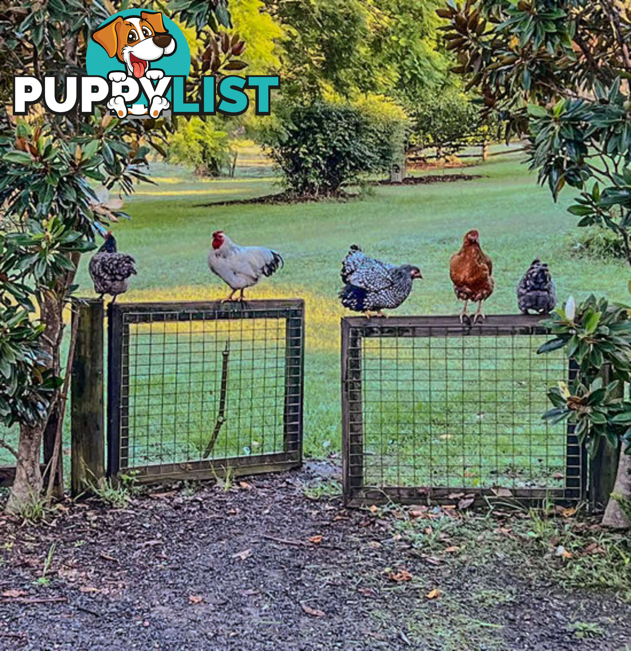 68 Maroney Road MANGROVE MOUNTAIN NSW 2250