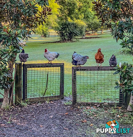 68 Maroney Road MANGROVE MOUNTAIN NSW 2250