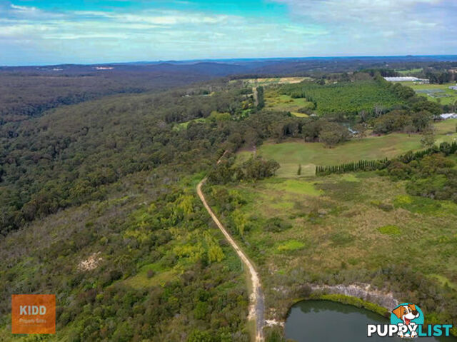 9 Nardoo road PEATS RIDGE NSW 2250