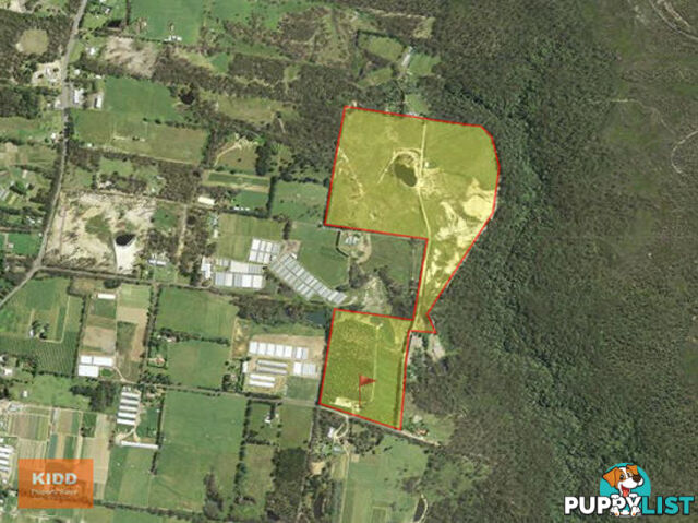 9 Nardoo road PEATS RIDGE NSW 2250