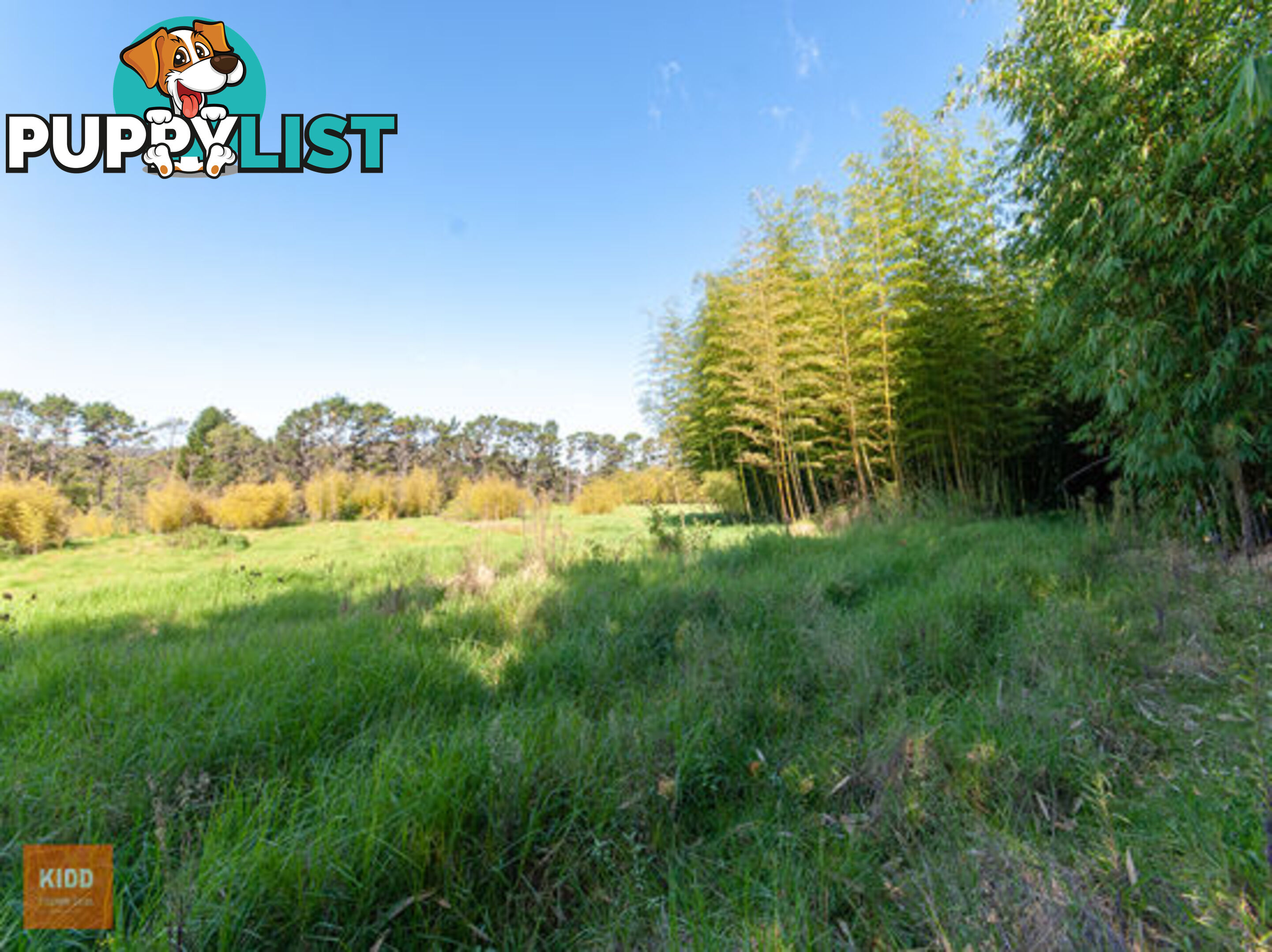 9 Nardoo road PEATS RIDGE NSW 2250