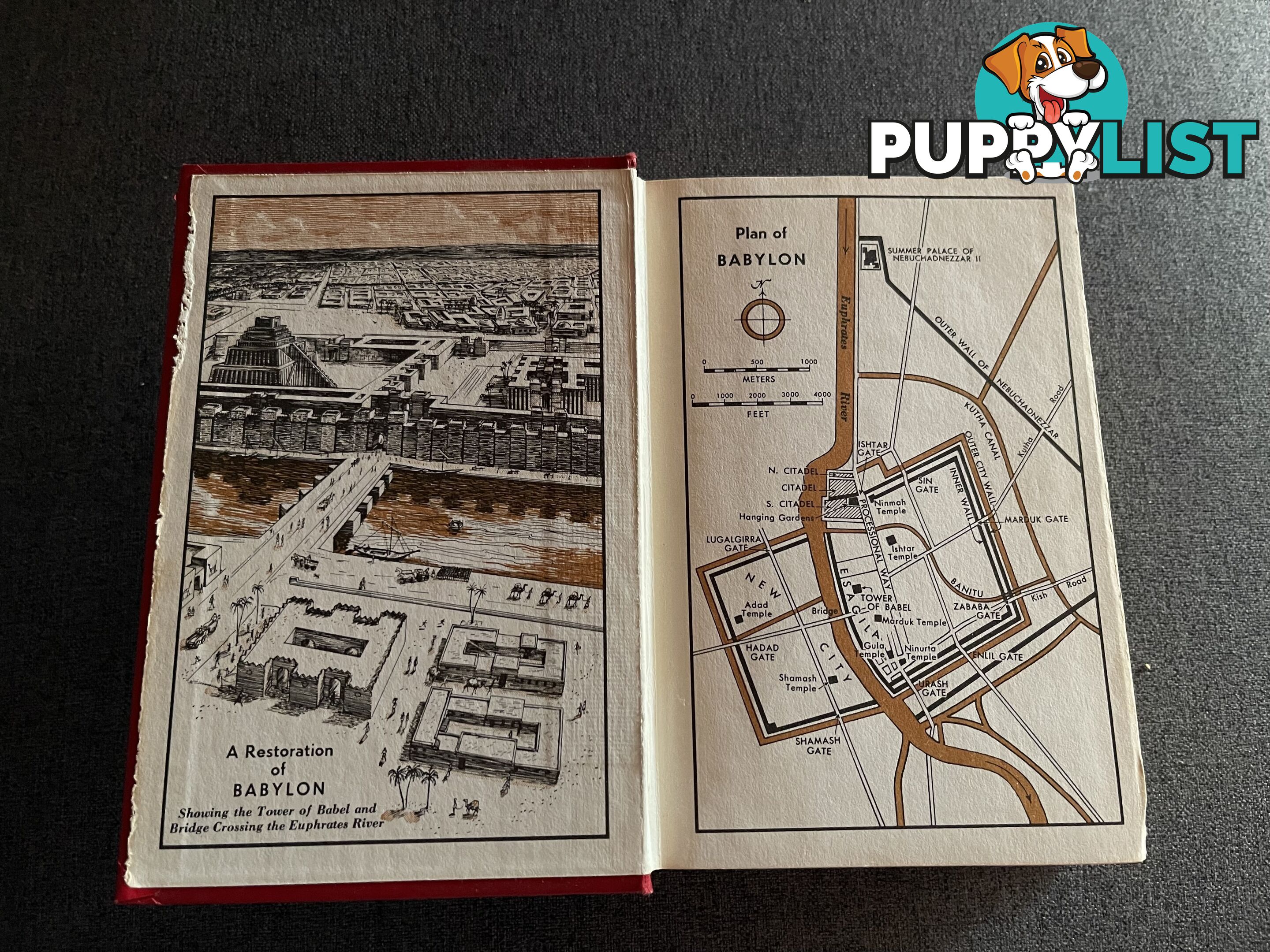 Babylon the Great has Fallen Gods kingdom Rules 1963