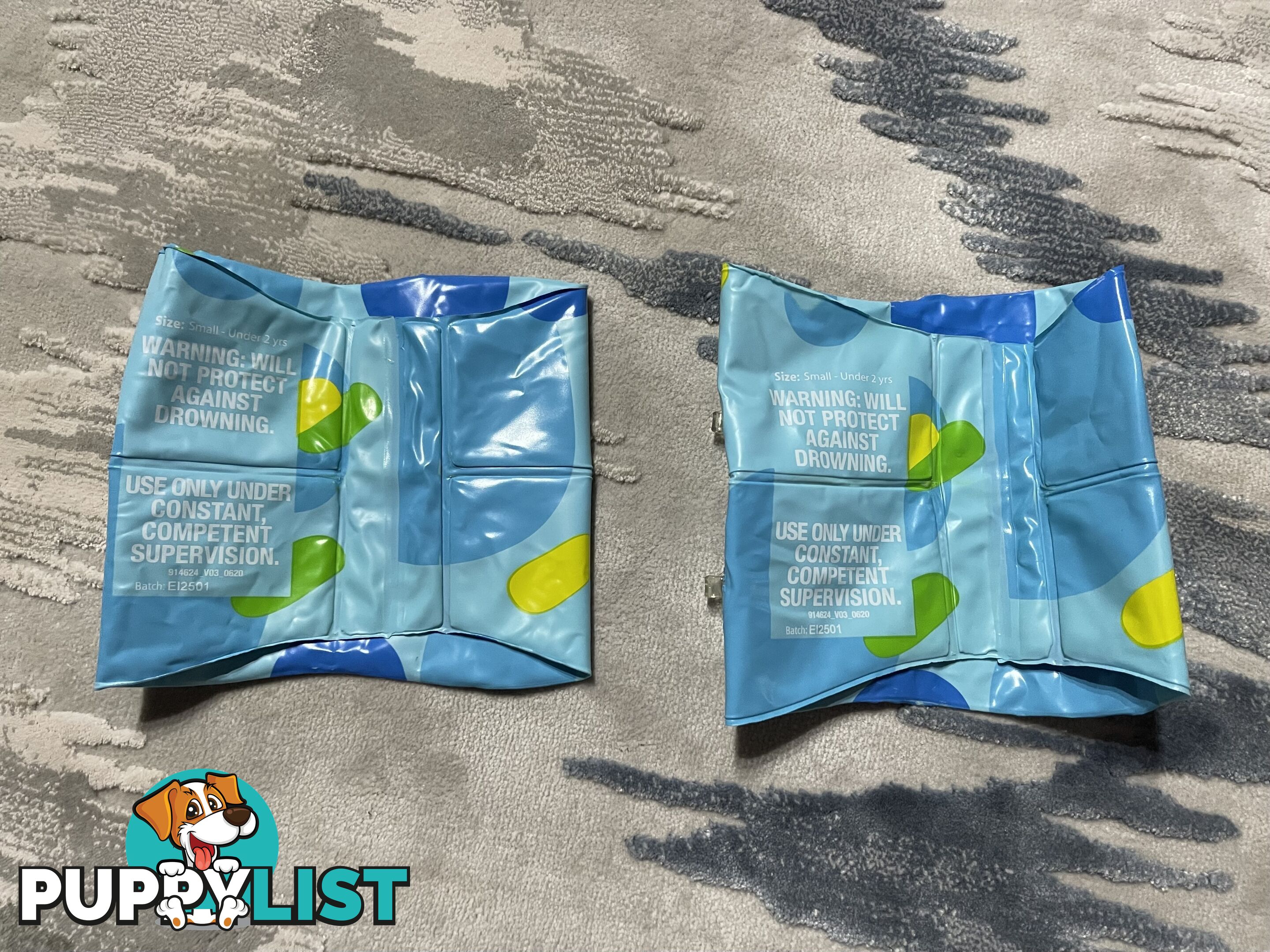 Bluey Inflatable Arm Bands