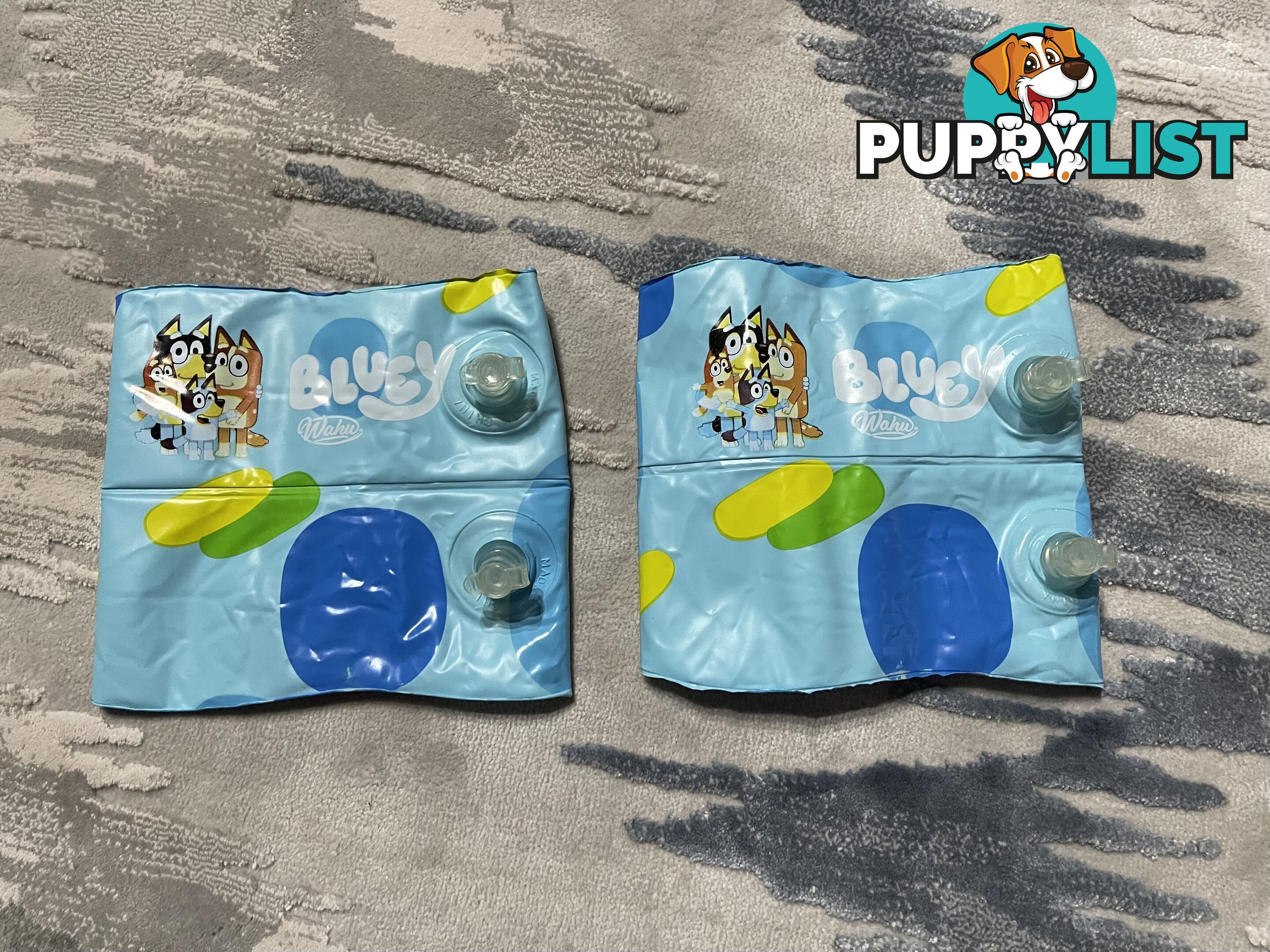 Bluey Inflatable Arm Bands