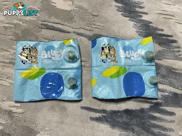 Bluey Inflatable Arm Bands