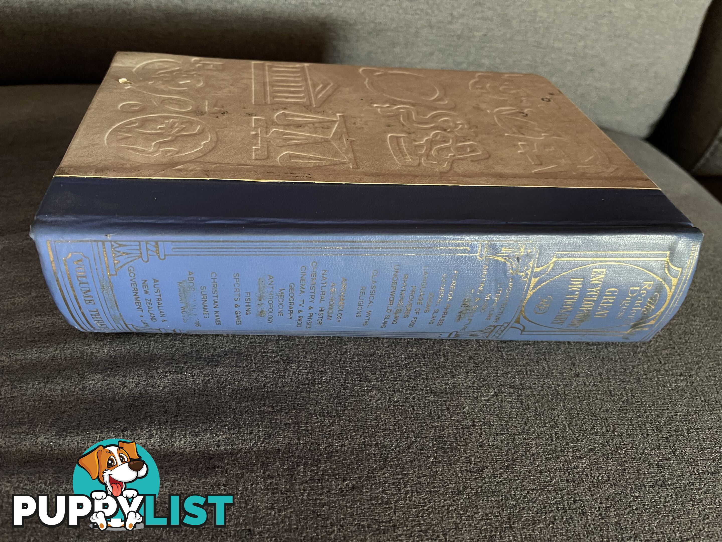 Readers Digest Great Encyclopaedia Dictionary