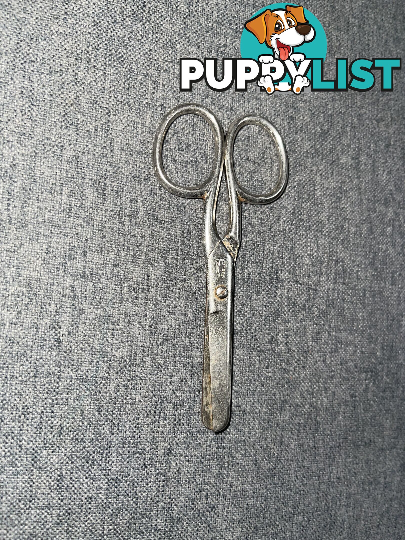 Antique English Sewing Scissors