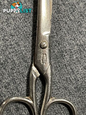 Antique English Sewing Scissors