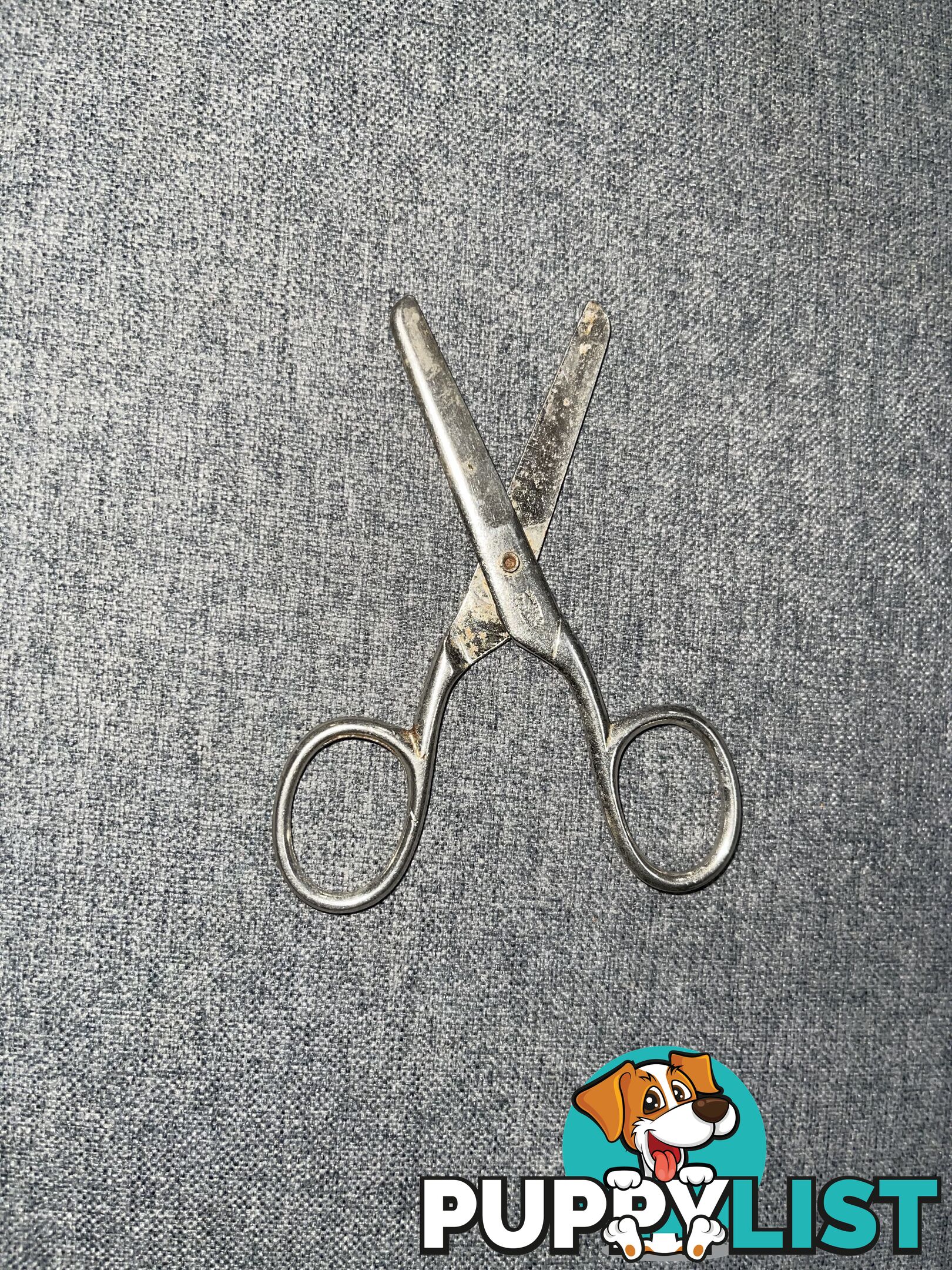 Antique English Sewing Scissors