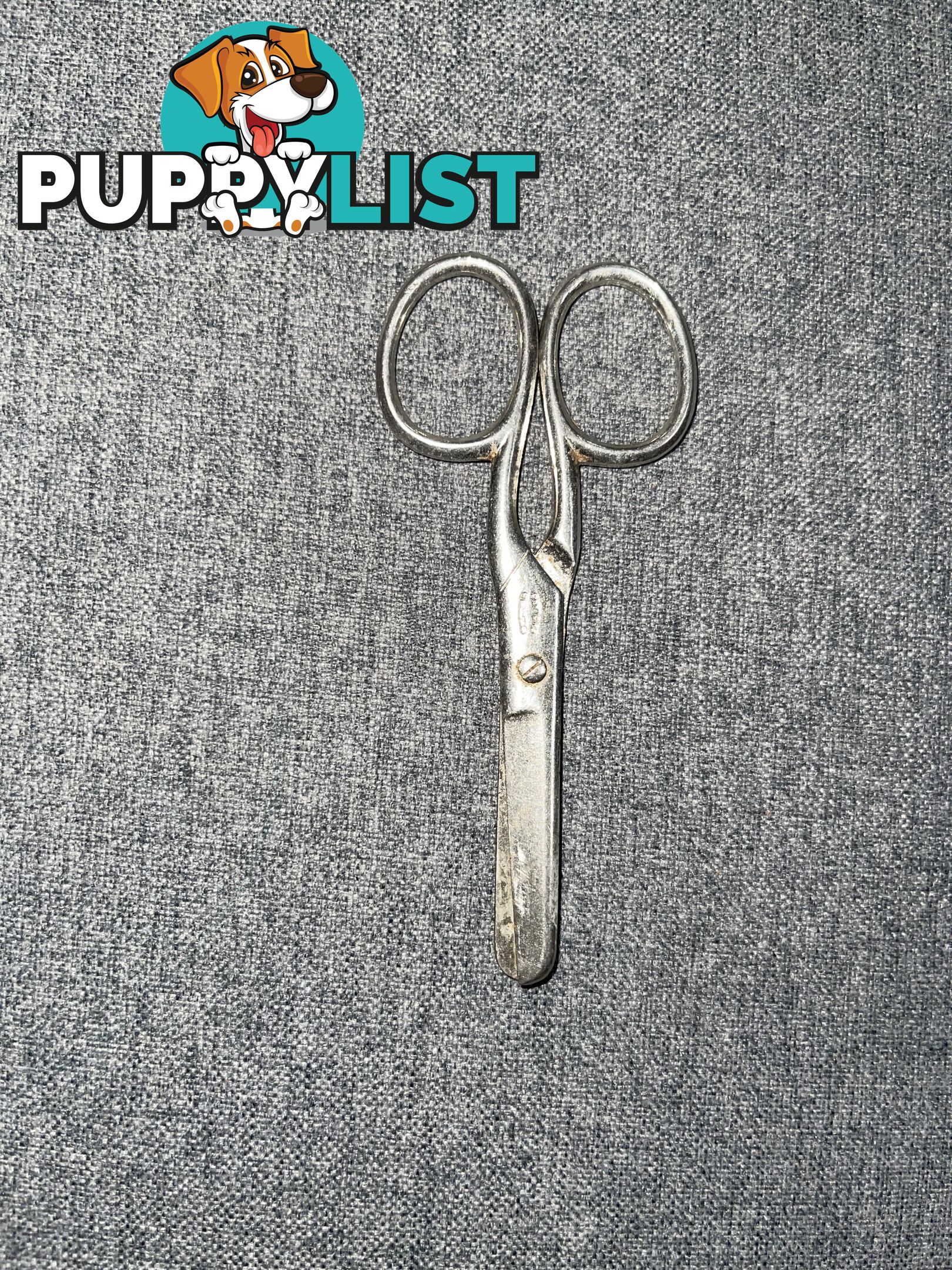 Antique English Sewing Scissors