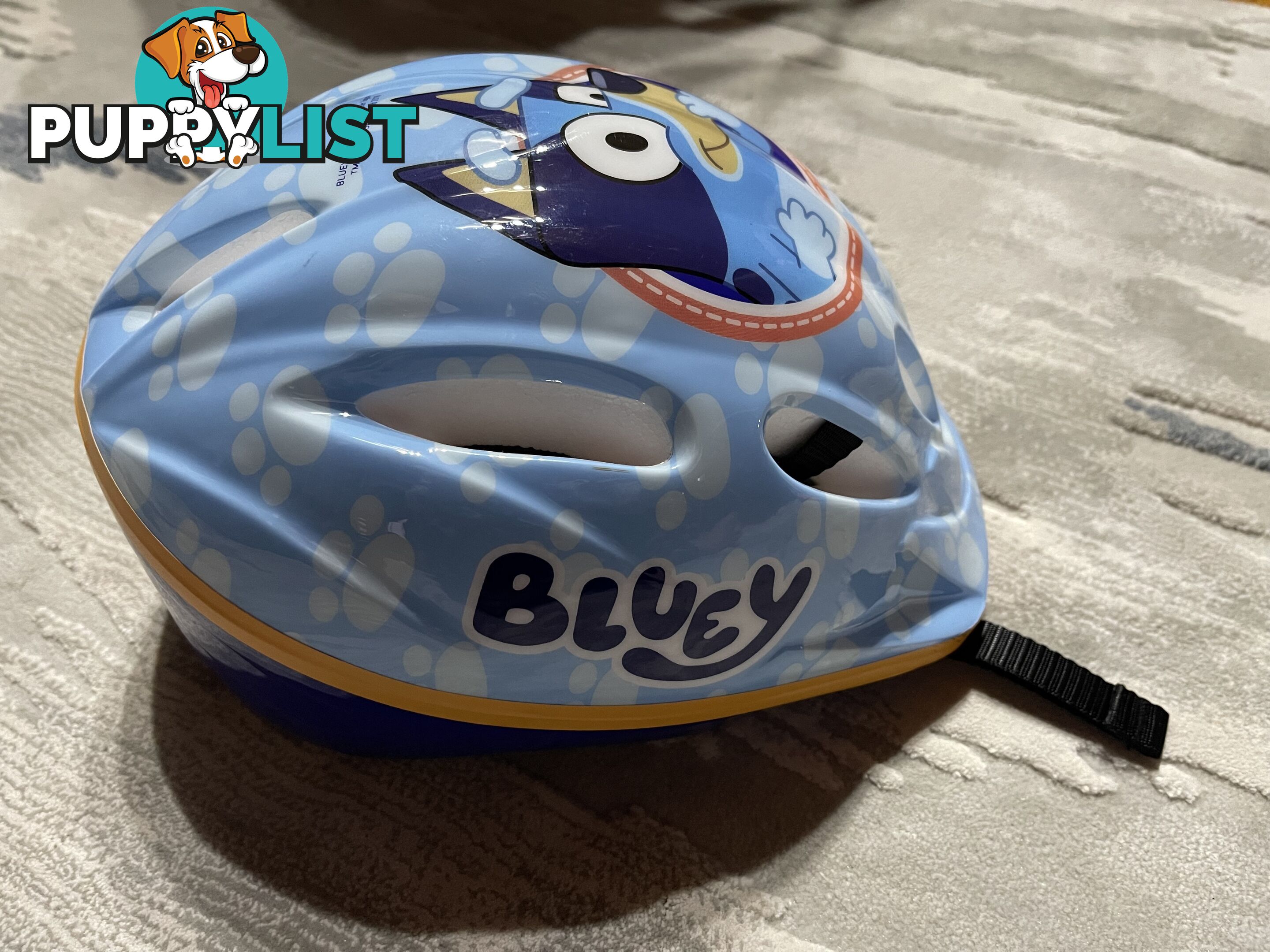 Bluey Kids Helmet