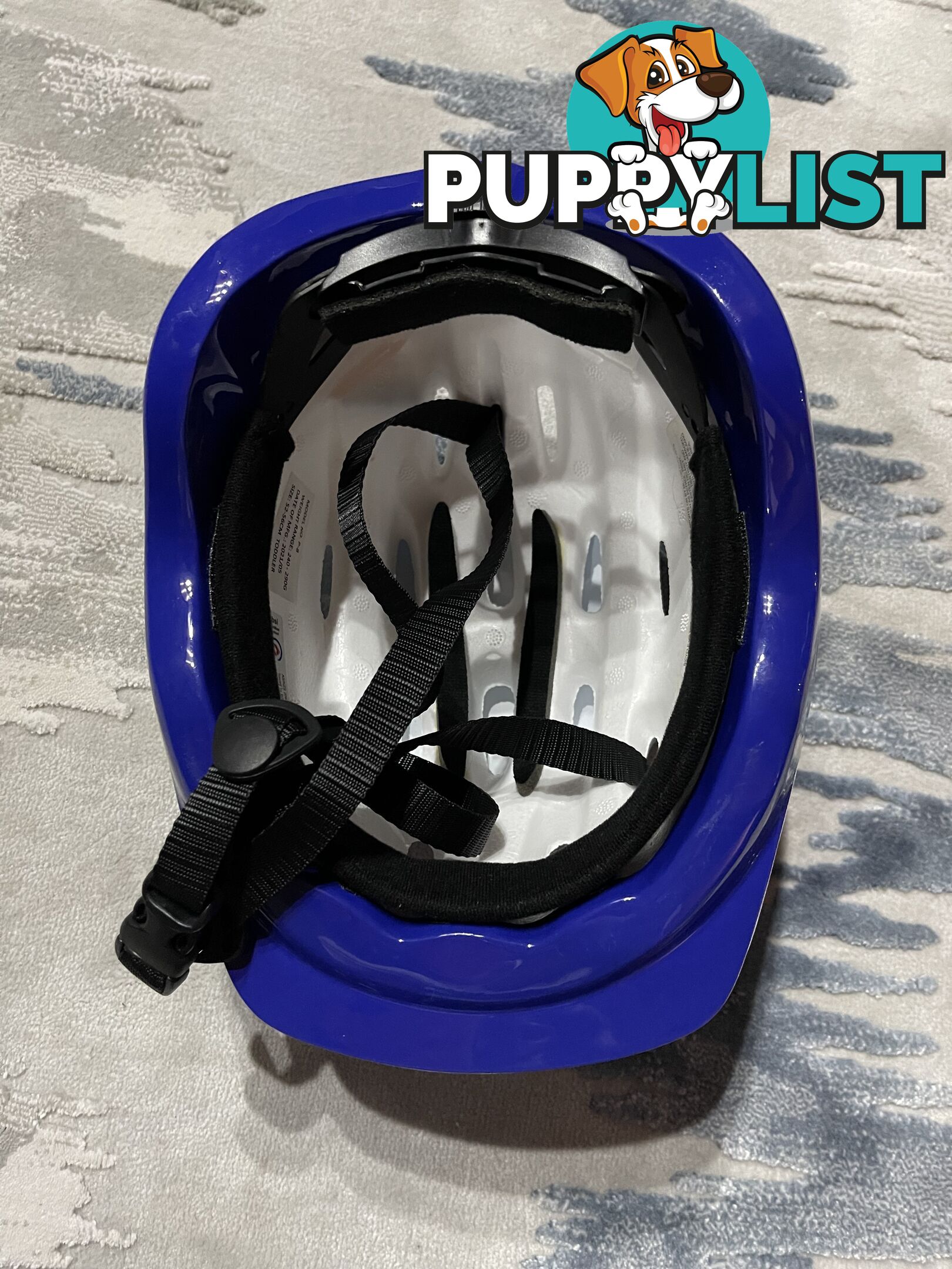 Bluey Kids Helmet