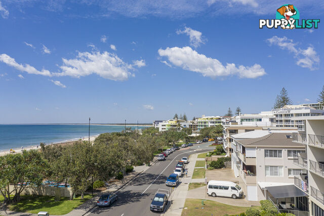 5 Ormonde Terrace KINGS BEACH QLD 4551