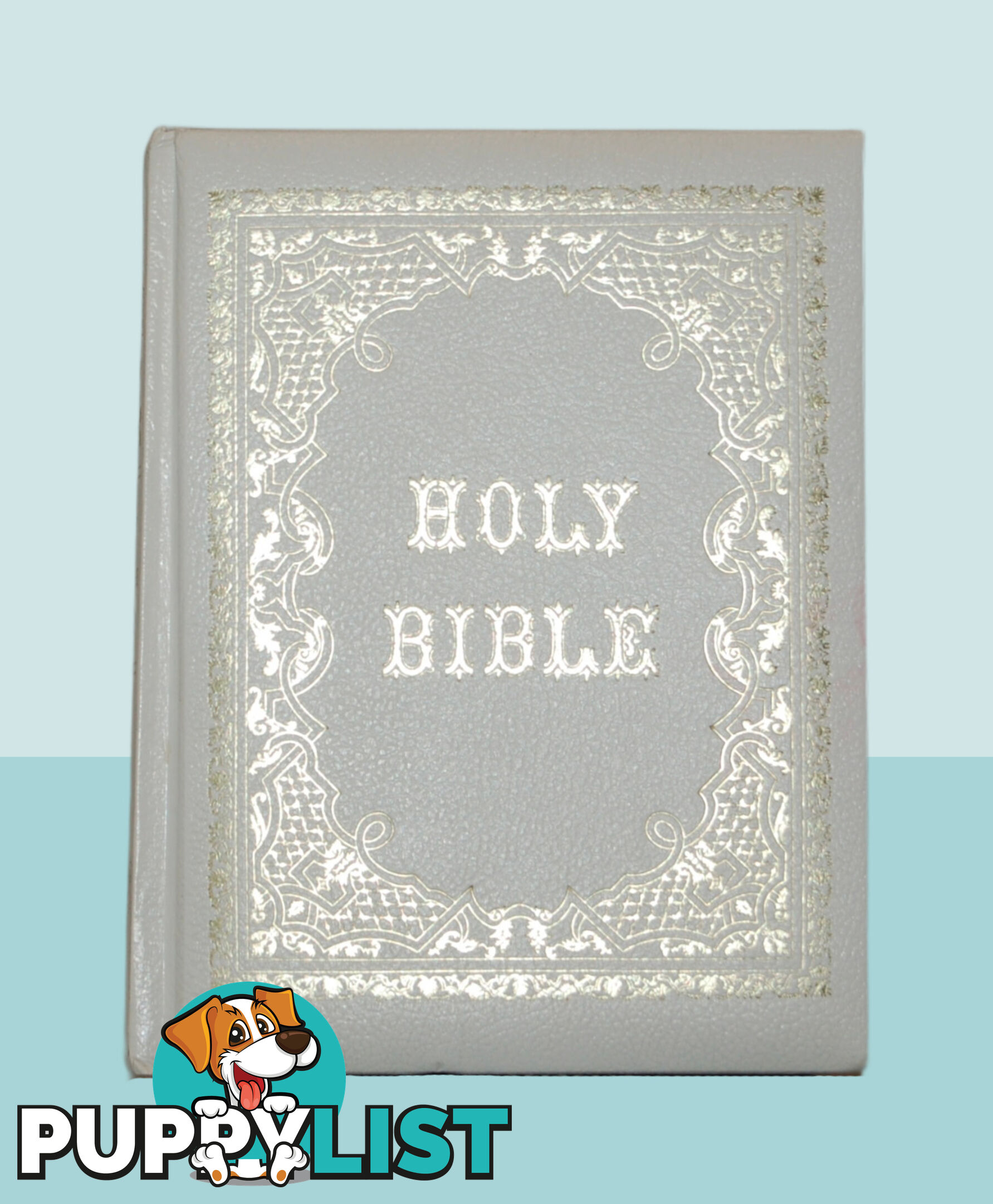 Holy Bible - Family Record and Library Reference Edition