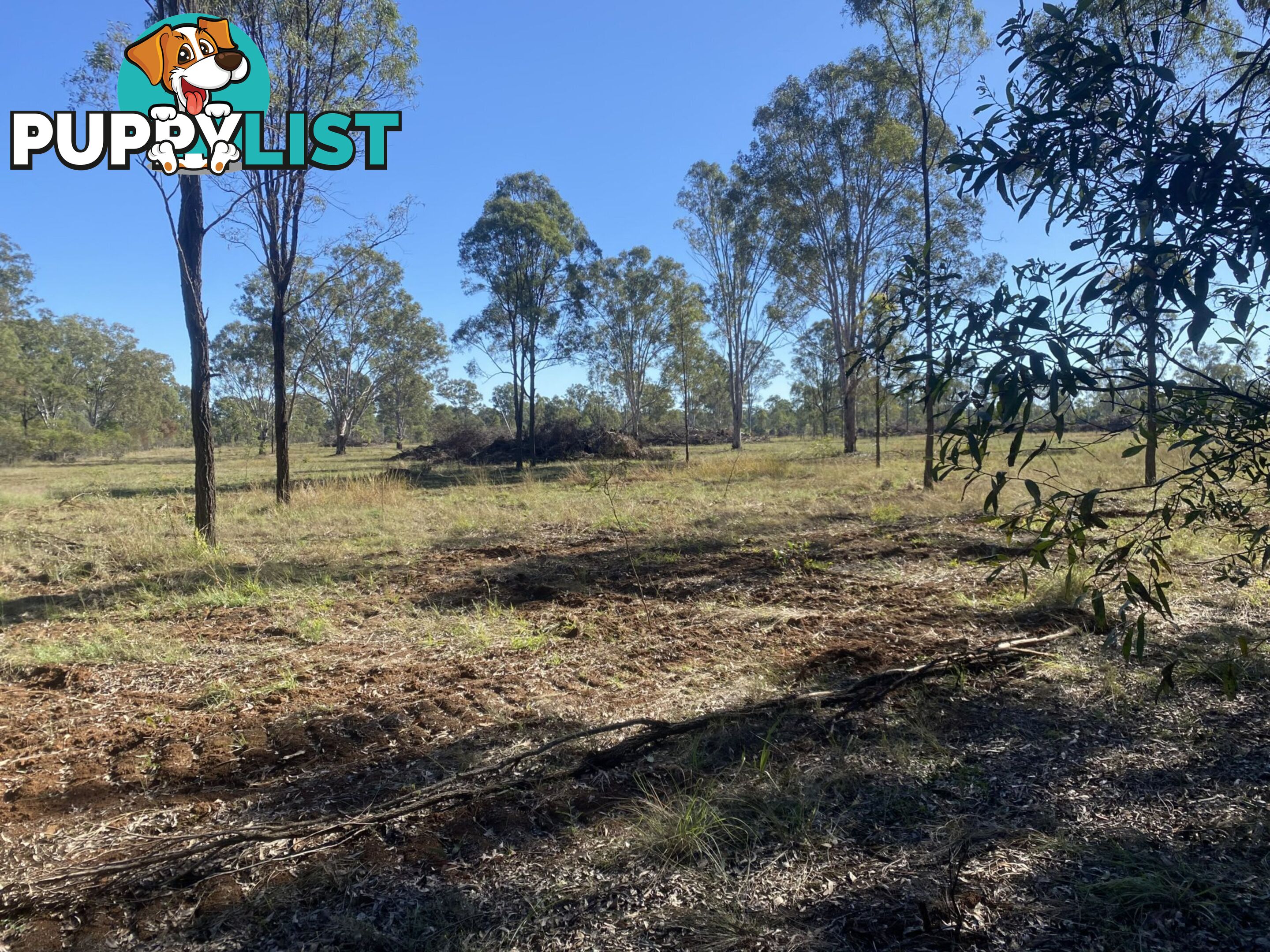 Lot 4 Wondai Proston Road WONDAI QLD 4606