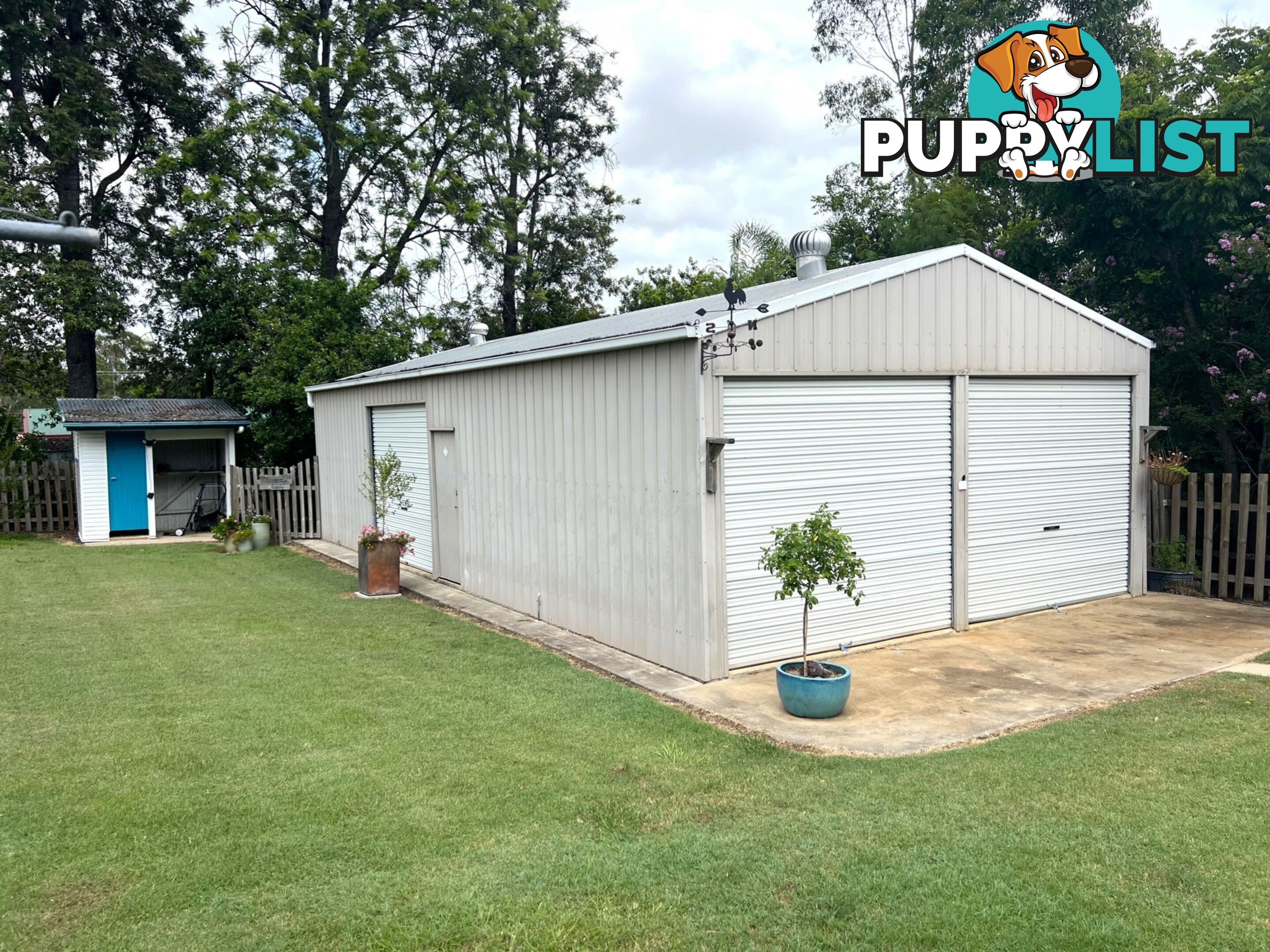 81 Scott Street WONDAI QLD 4606