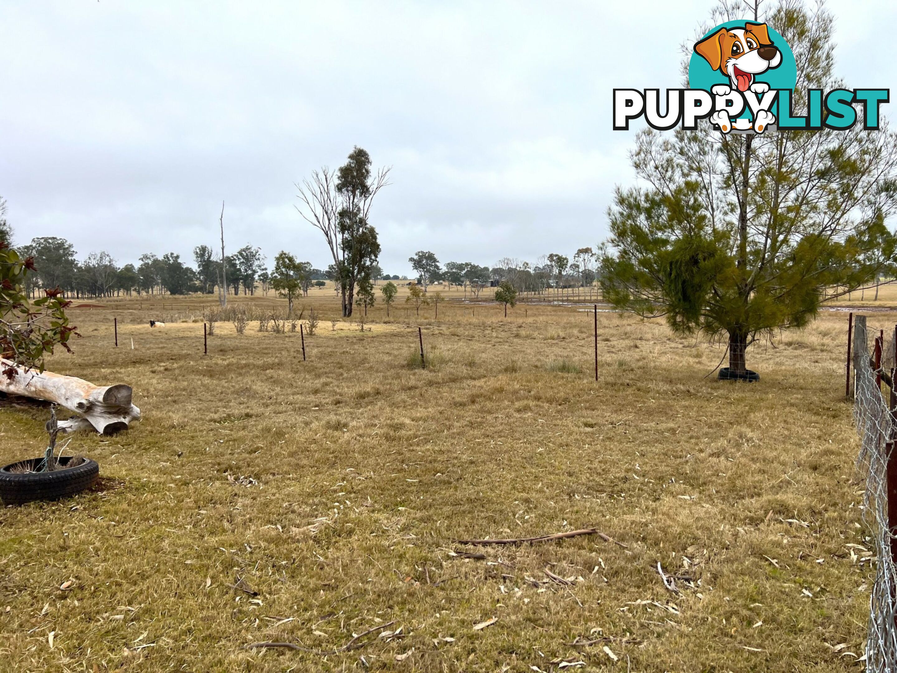 15 Liesagangs Road CRAWFORD QLD 4610