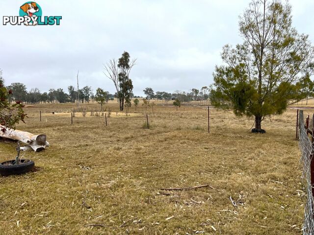 15 Liesagangs Road CRAWFORD QLD 4610