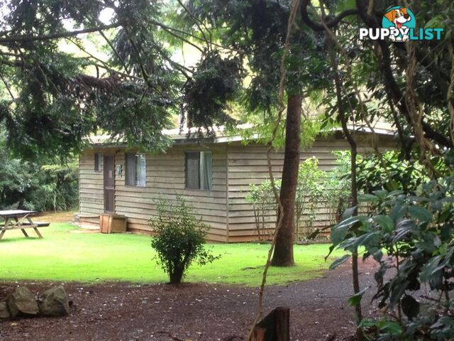 5/3411 Bunya Mountains Road BUNYA MOUNTAINS QLD 4405