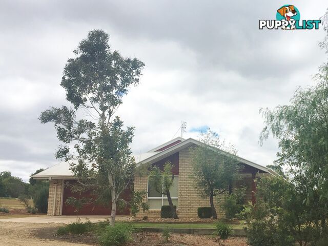 2 Pine Court KINGAROY QLD 4610