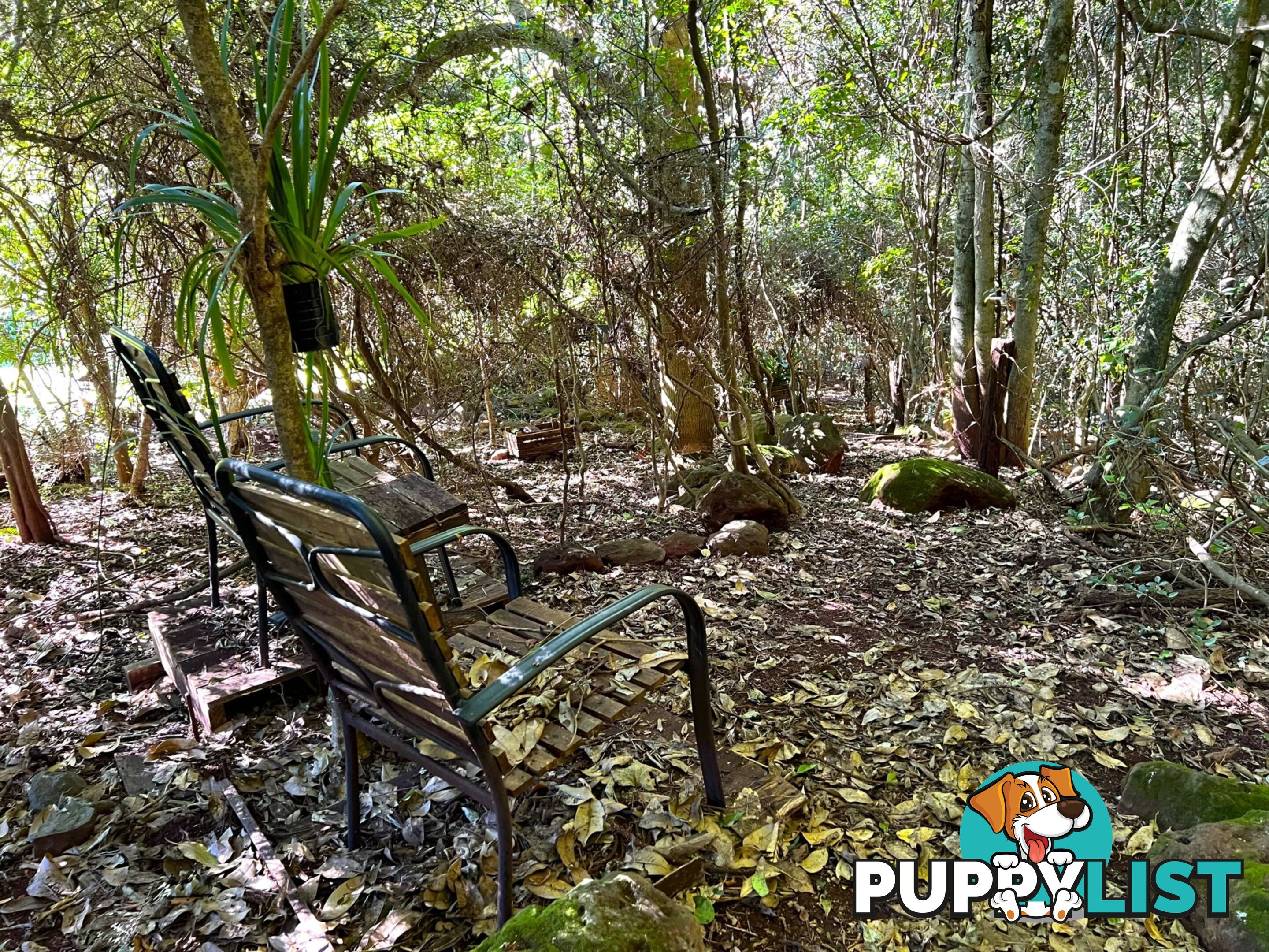 43 Rainforest Drive BUNYA MOUNTAINS QLD 4405