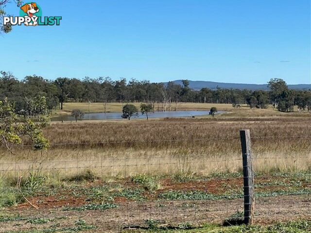 214 Home Creek Loop Road CUSHNIE QLD 4608