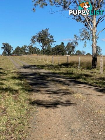 214 Home Creek Loop Road CUSHNIE QLD 4608