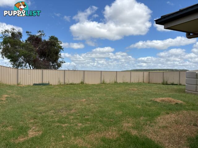 21 Casuarina Street KINGAROY QLD 4610