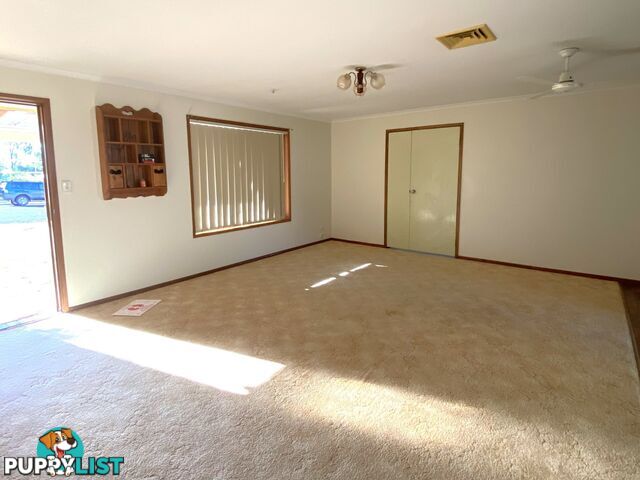 80 Cadell Street WONDAI QLD 4606