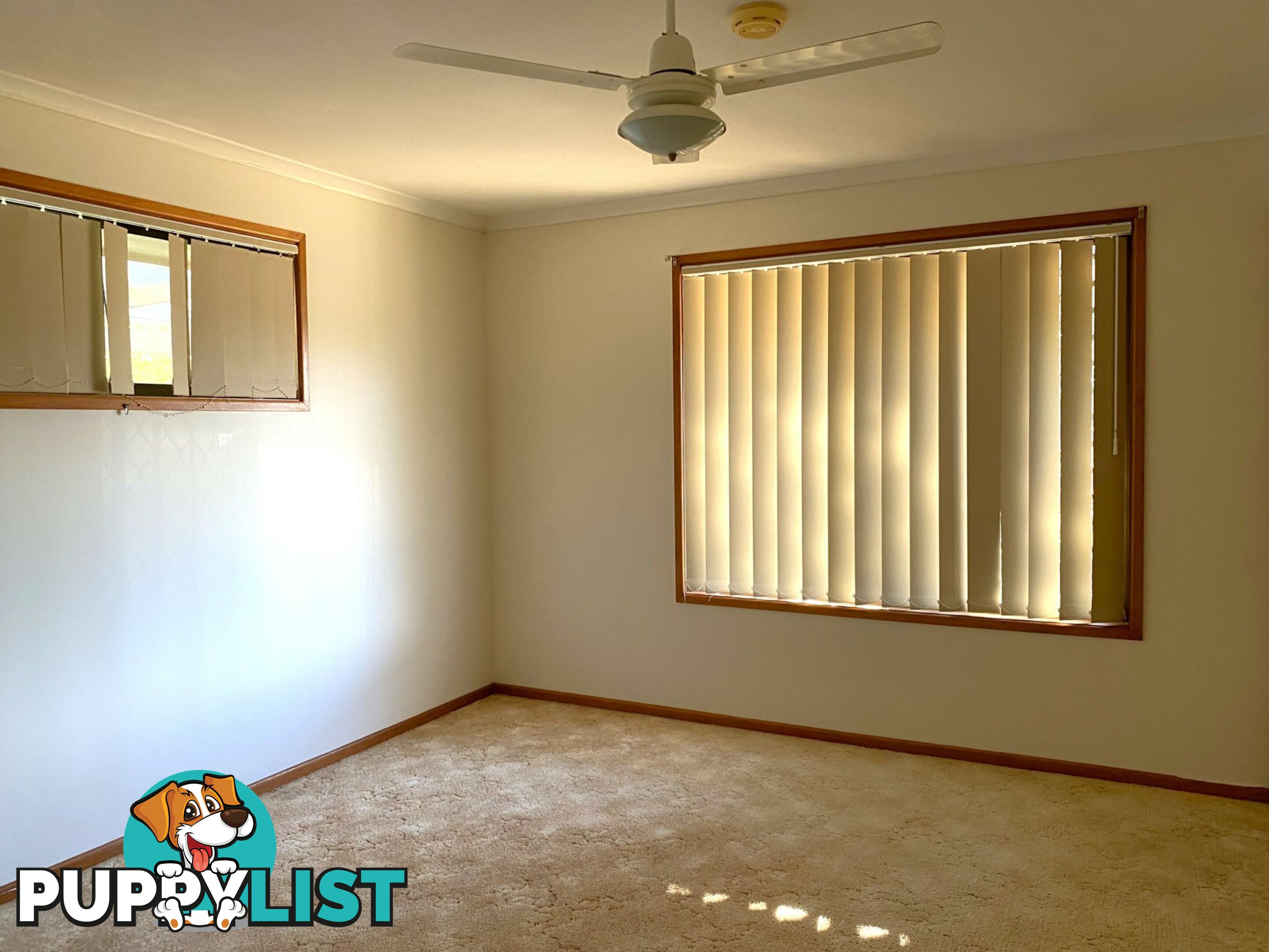 80 Cadell Street WONDAI QLD 4606