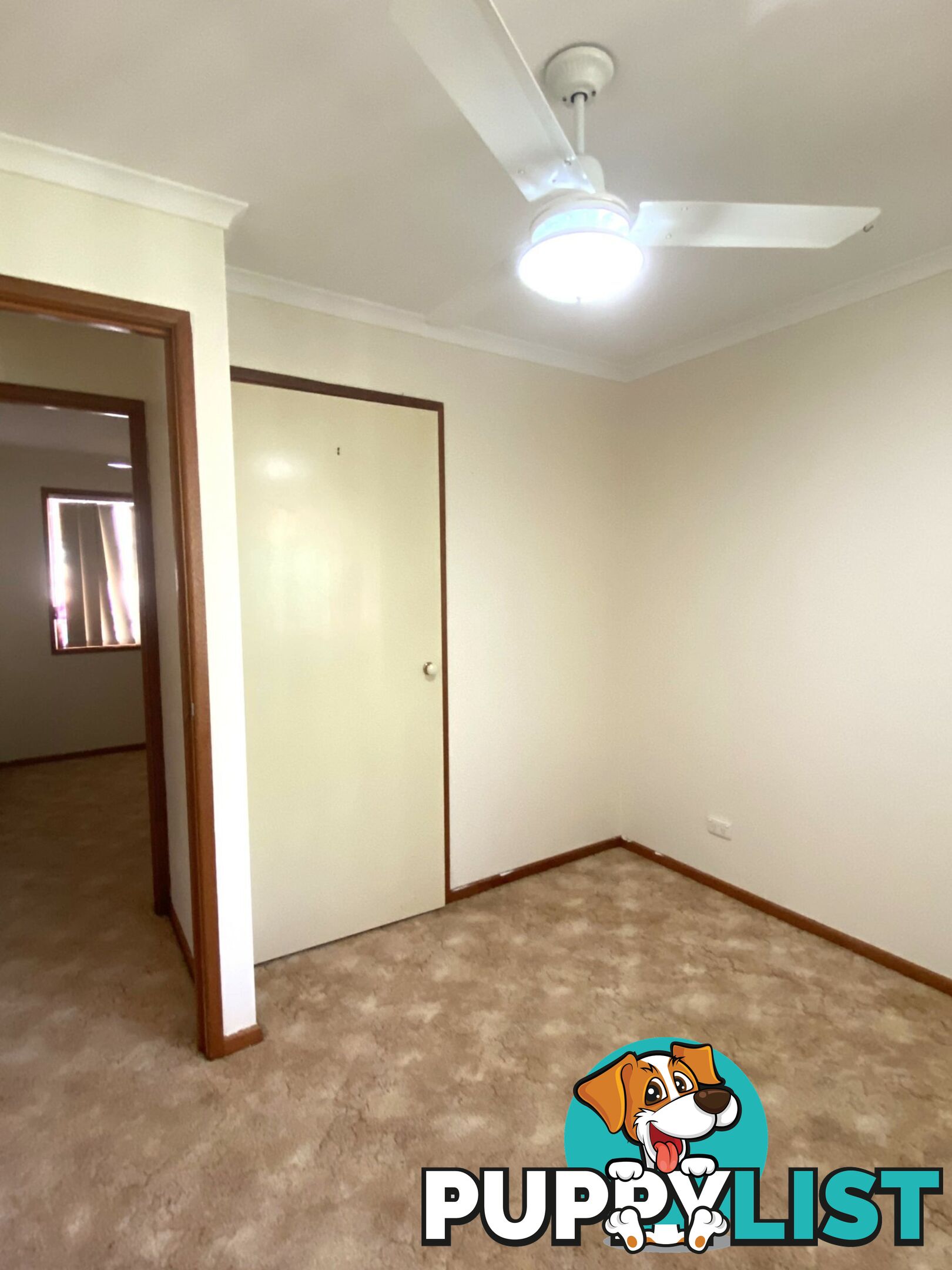 80 Cadell Street WONDAI QLD 4606