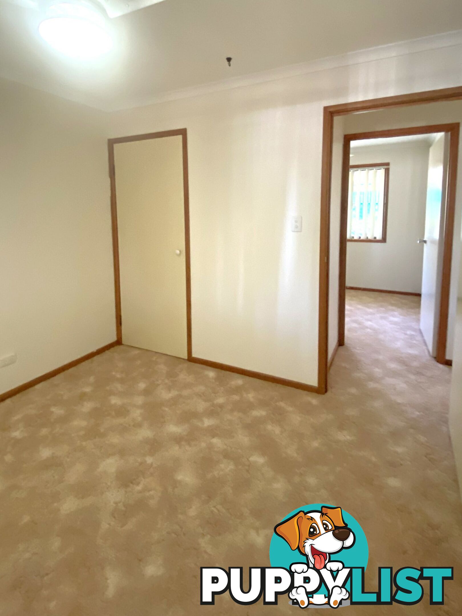80 Cadell Street WONDAI QLD 4606