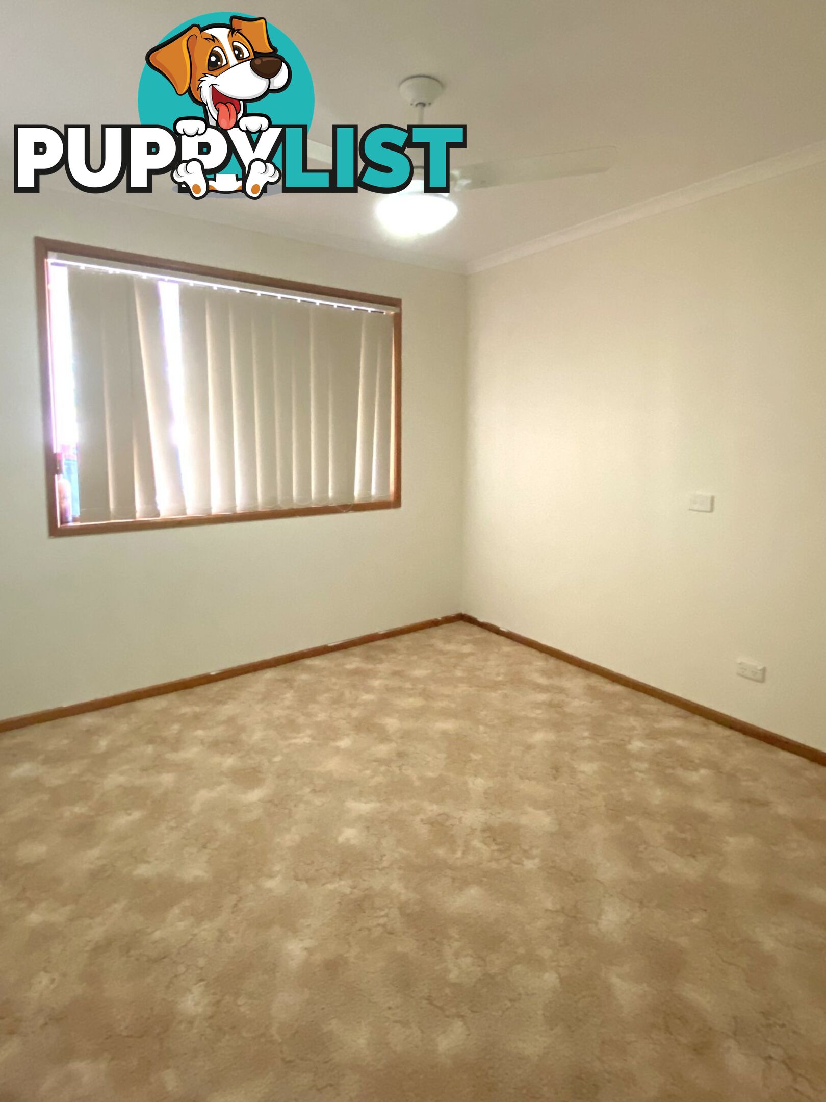 80 Cadell Street WONDAI QLD 4606