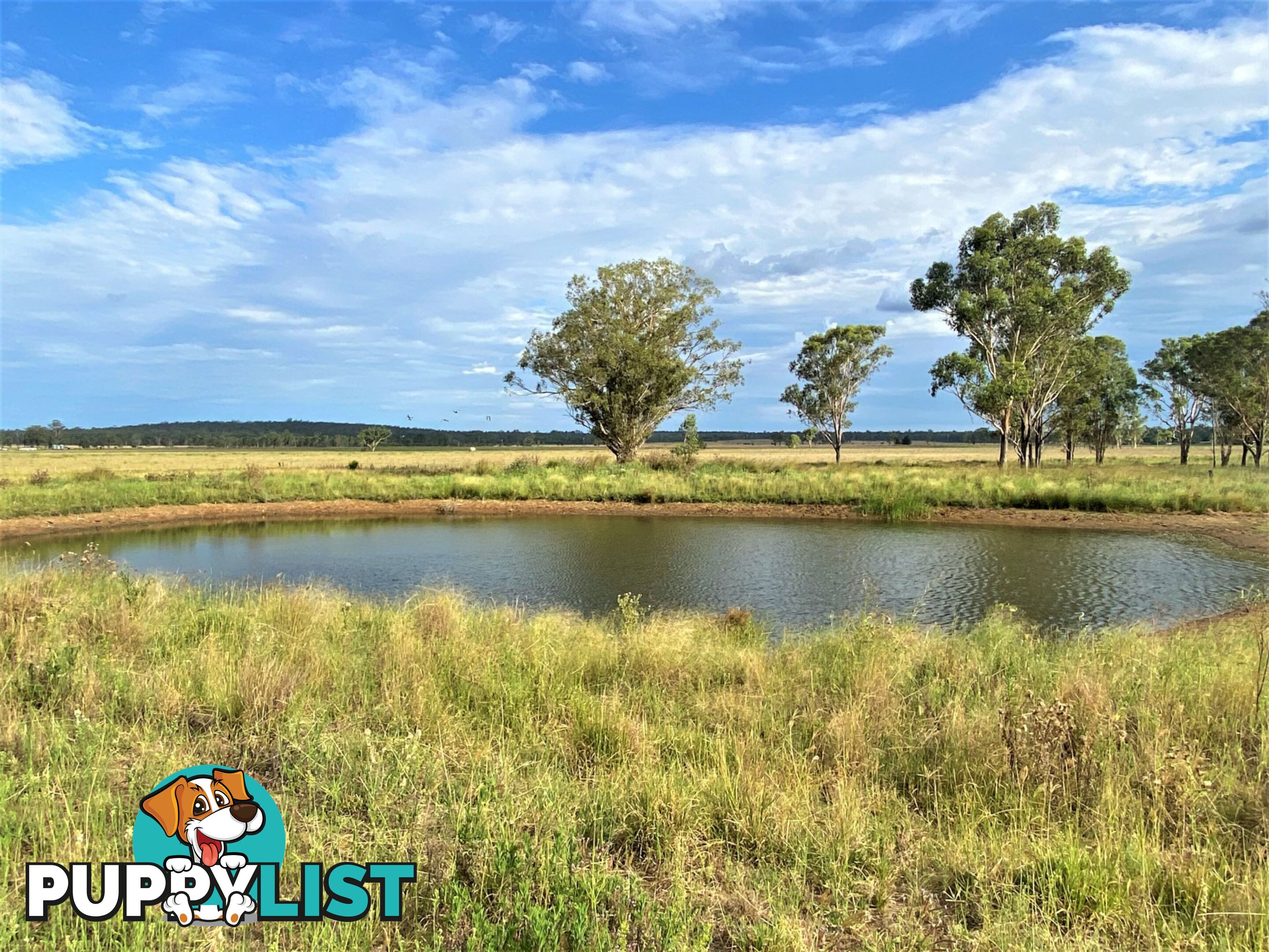 409 Kangaroo Yard Road WONDAI QLD 4606