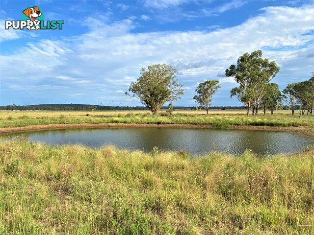 409 Kangaroo Yard Road WONDAI QLD 4606