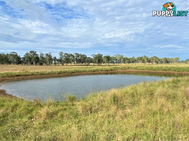 409 Kangaroo Yard Road WONDAI QLD 4606