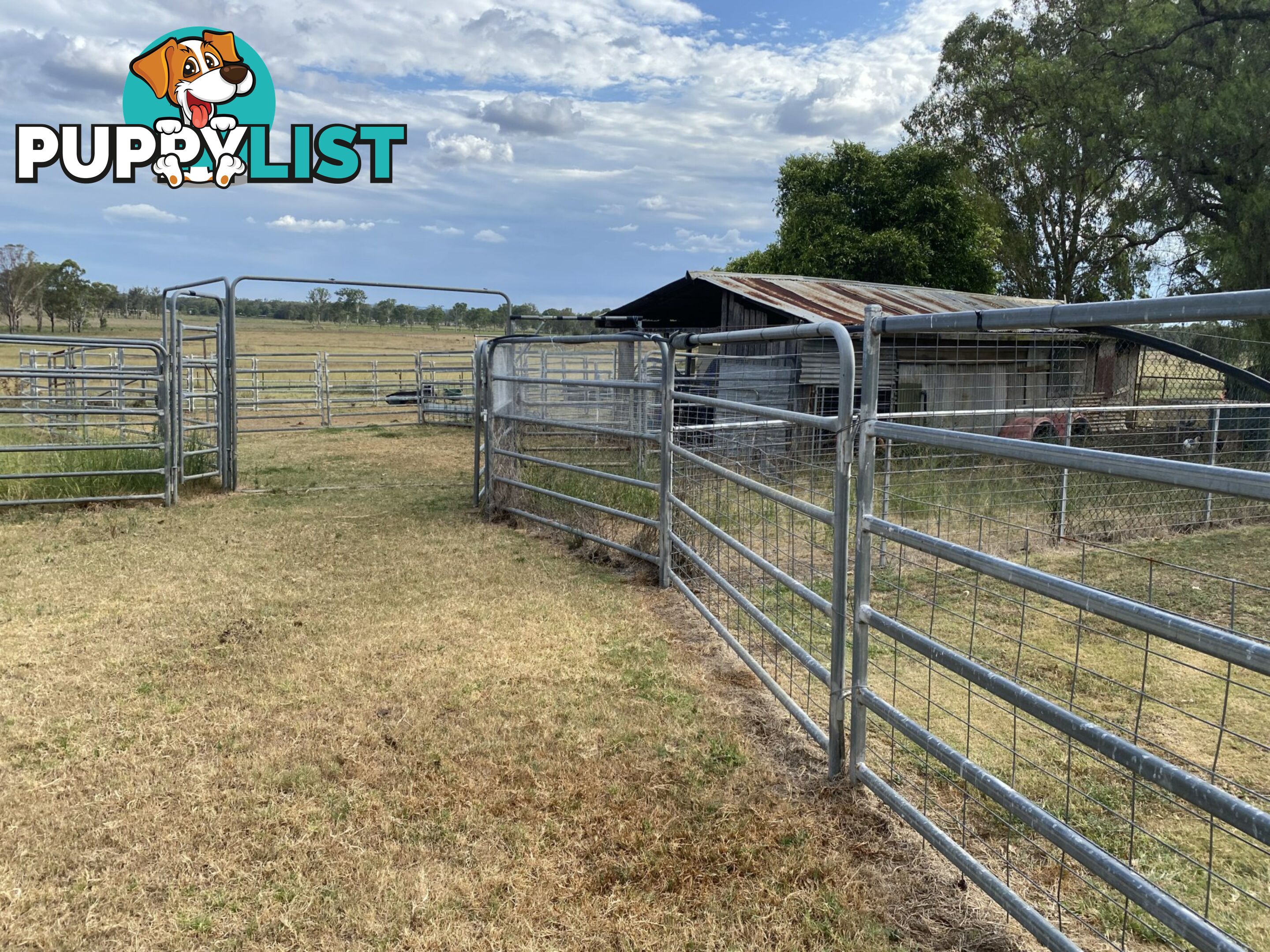 409 Kangaroo Yard Road WONDAI QLD 4606