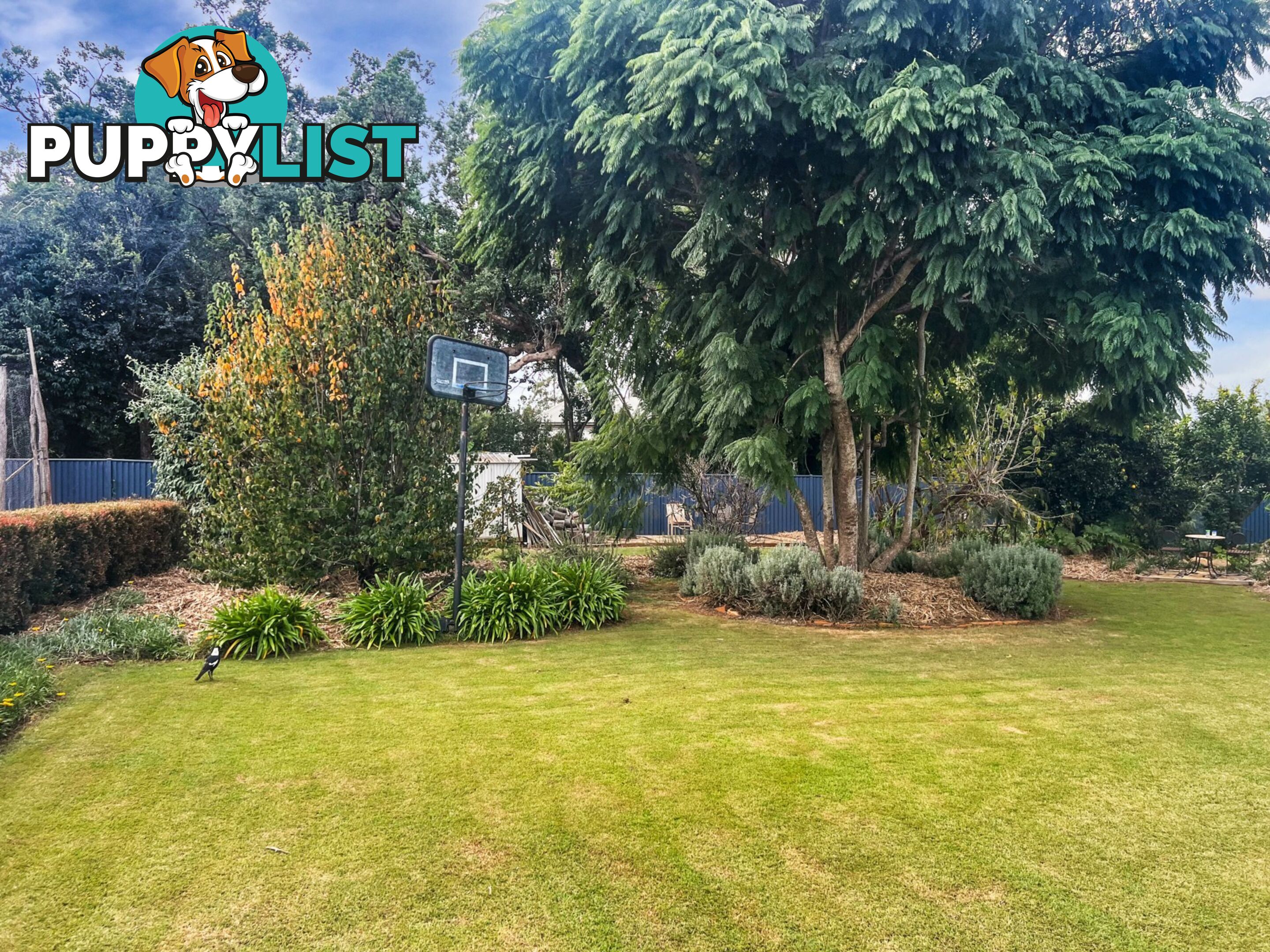88 Alford st KINGAROY QLD 4610
