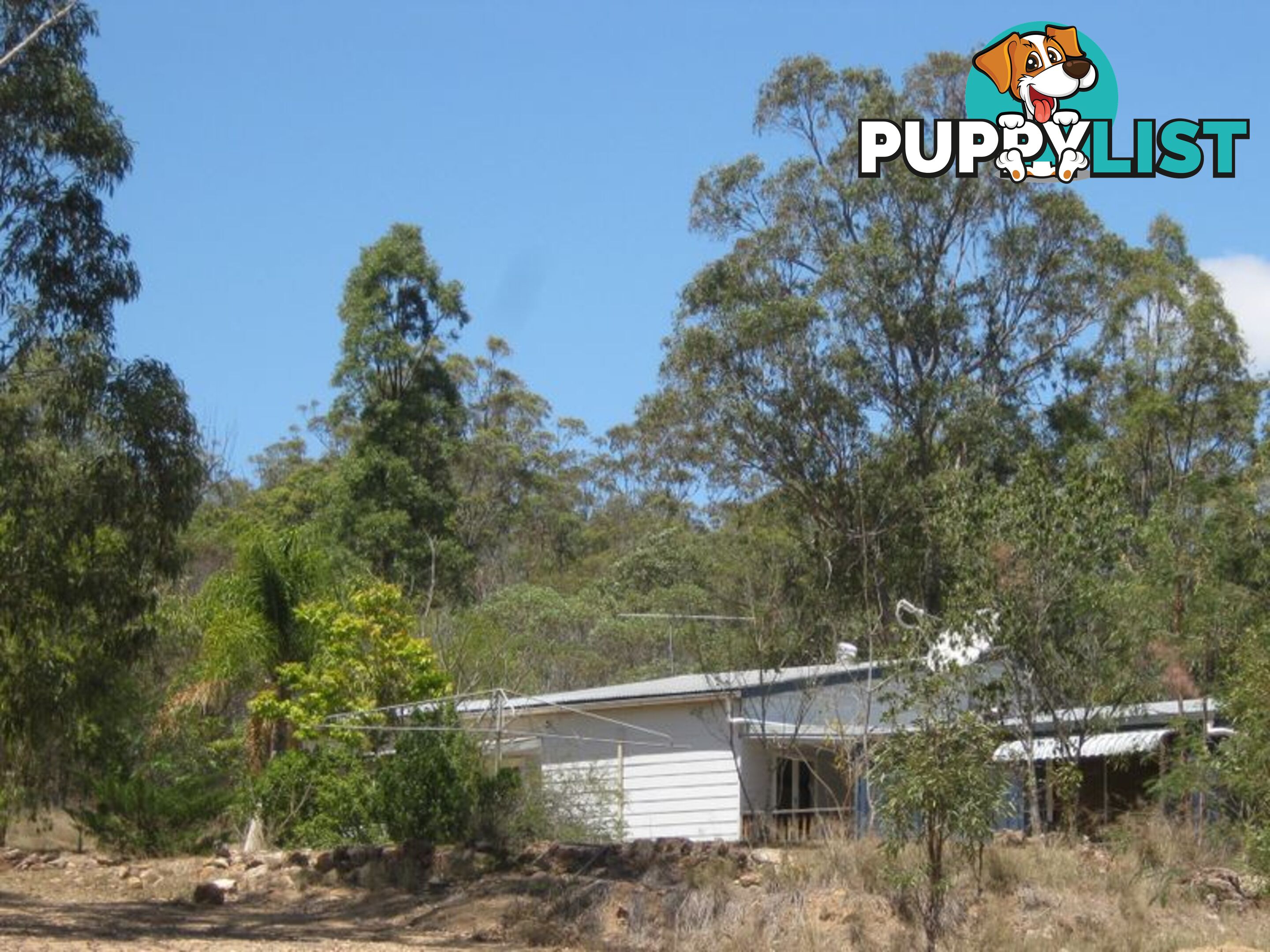 128 McQuire Road WATTLE CAMP QLD 4615