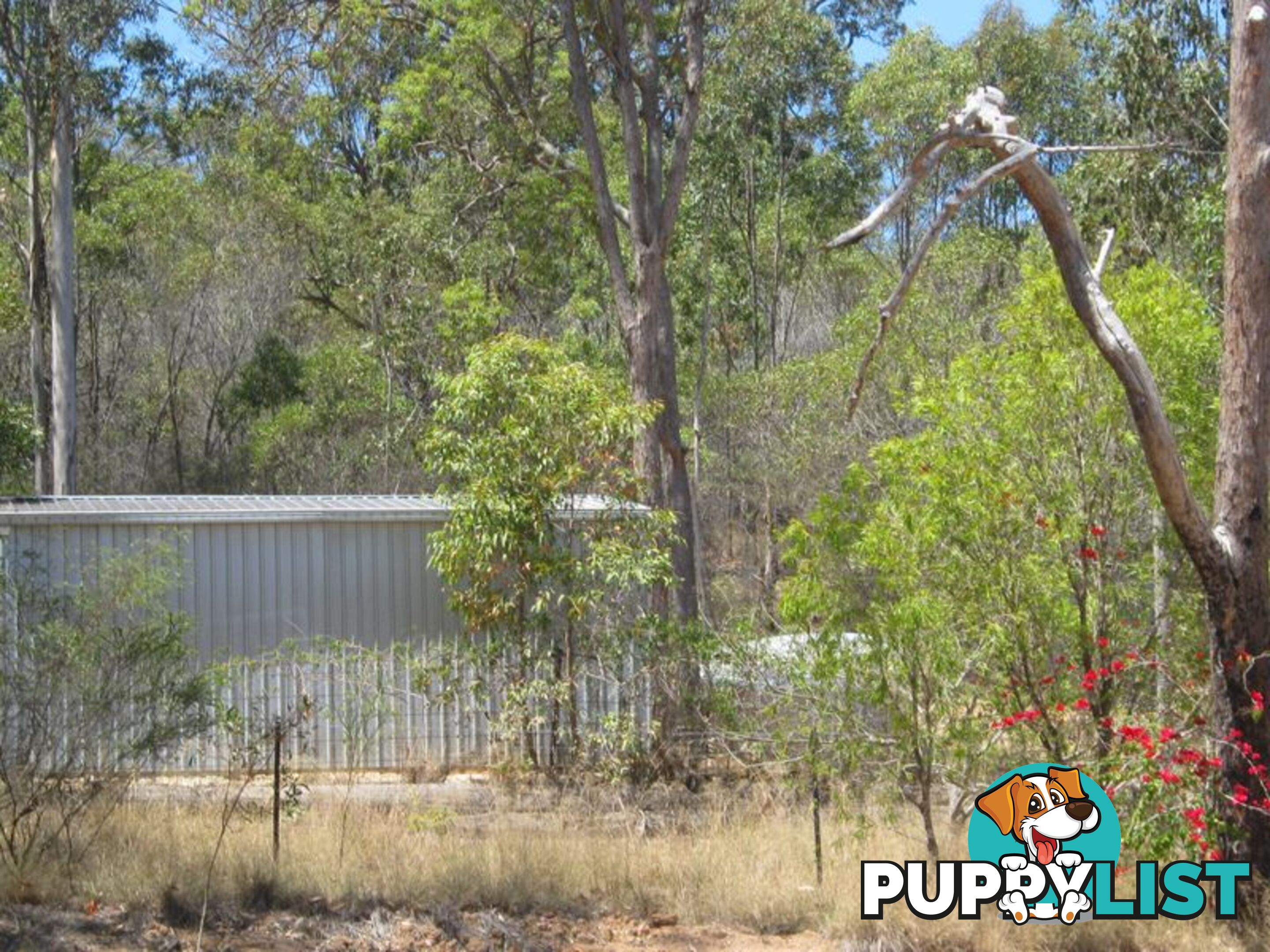 128 McQuire Road WATTLE CAMP QLD 4615