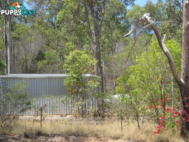 128 McQuire Road WATTLE CAMP QLD 4615