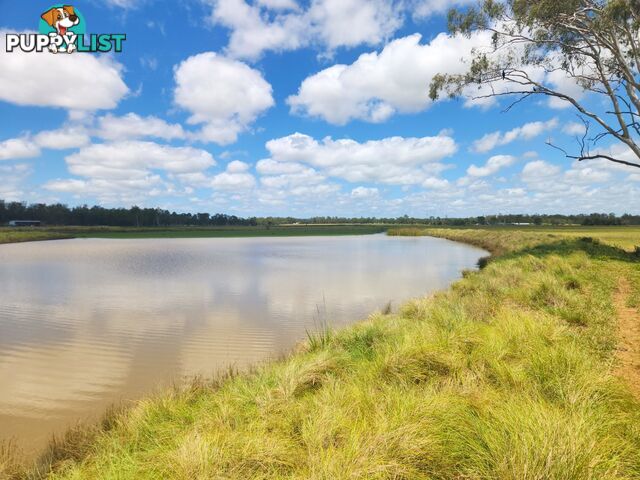 281 Wheatlands Loop Road WHEATLANDS QLD 4606