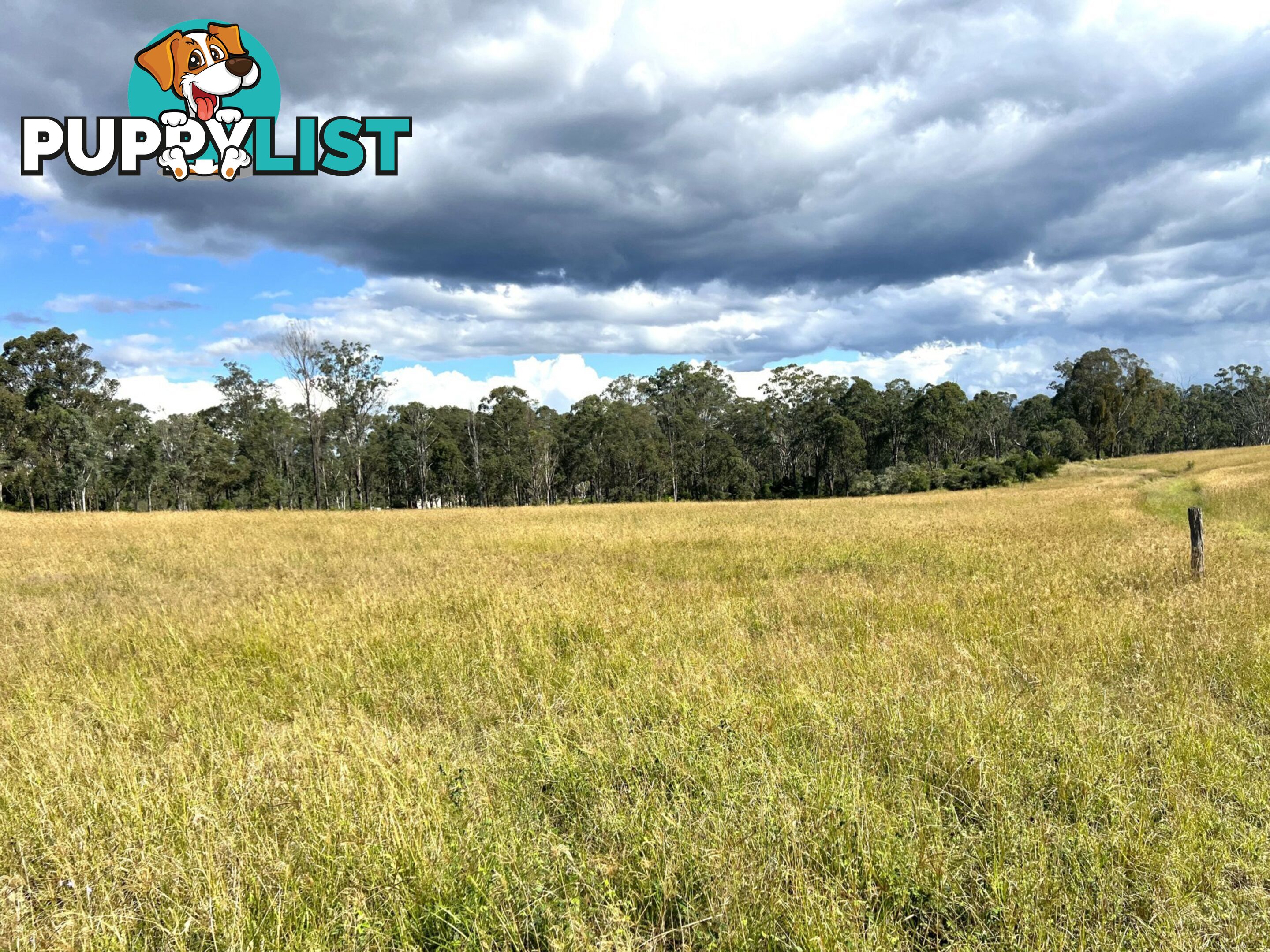 54 Majors Road NANANGO QLD 4615