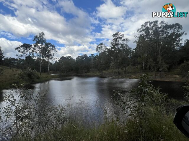 54 Majors Road NANANGO QLD 4615
