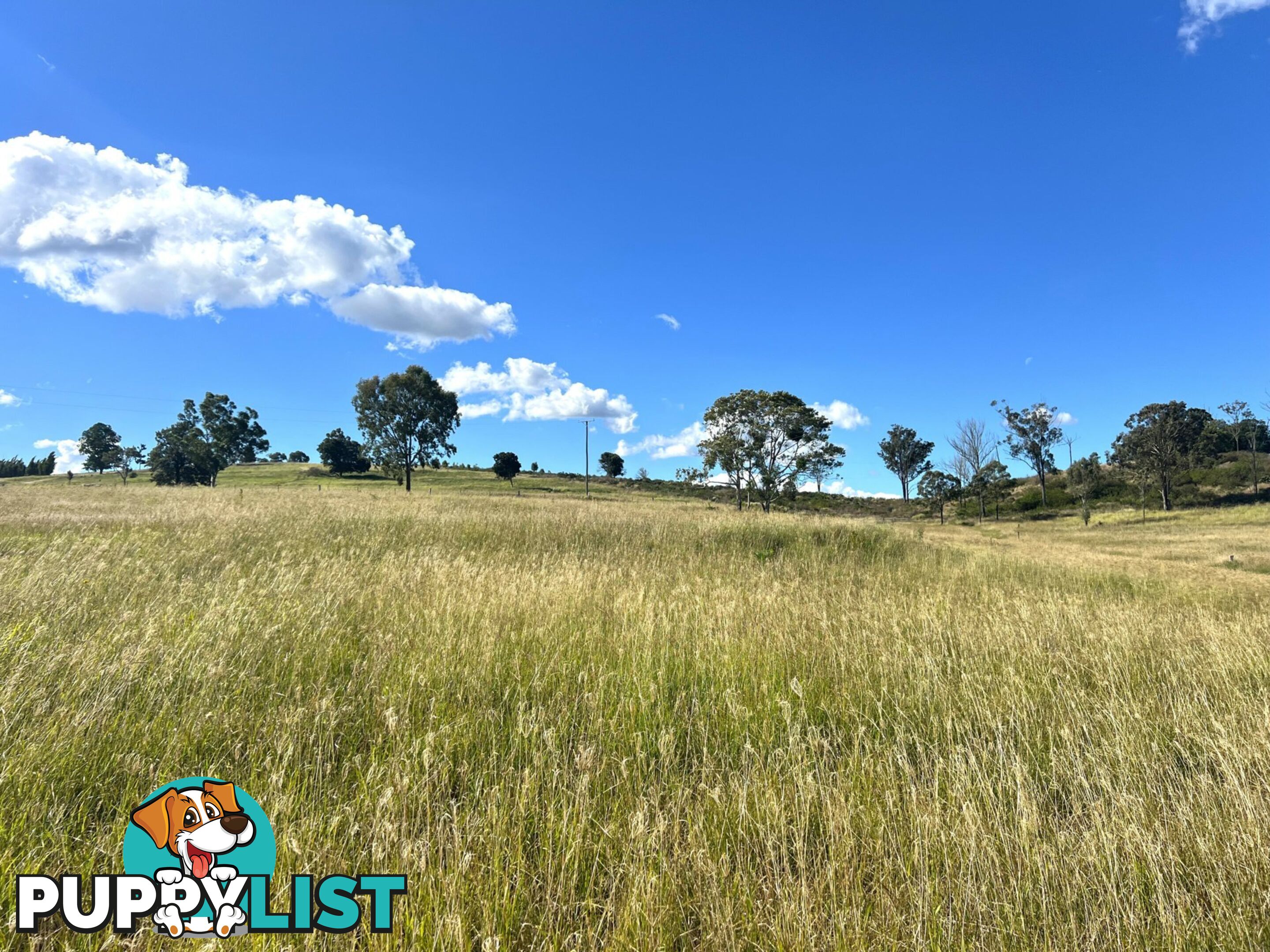 54 Majors Road NANANGO QLD 4615