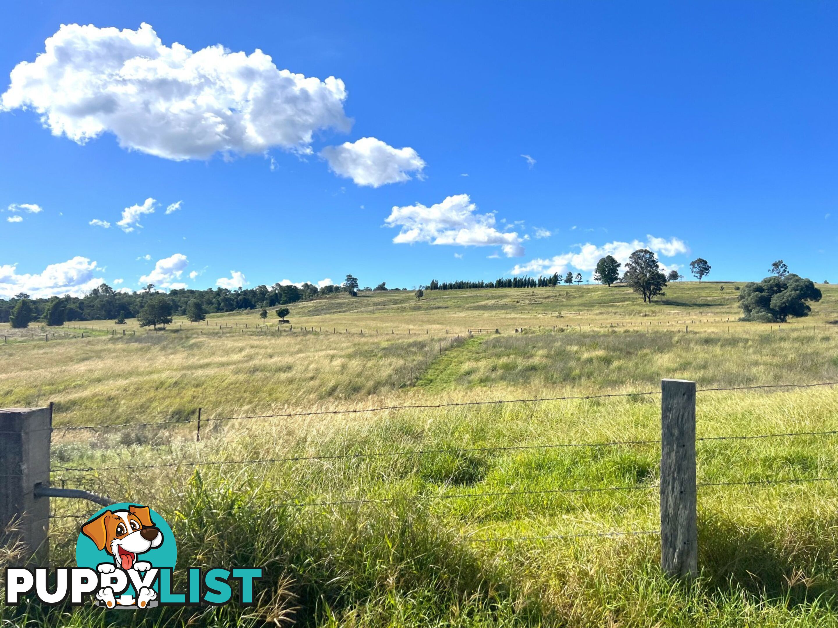 54 Majors Road NANANGO QLD 4615