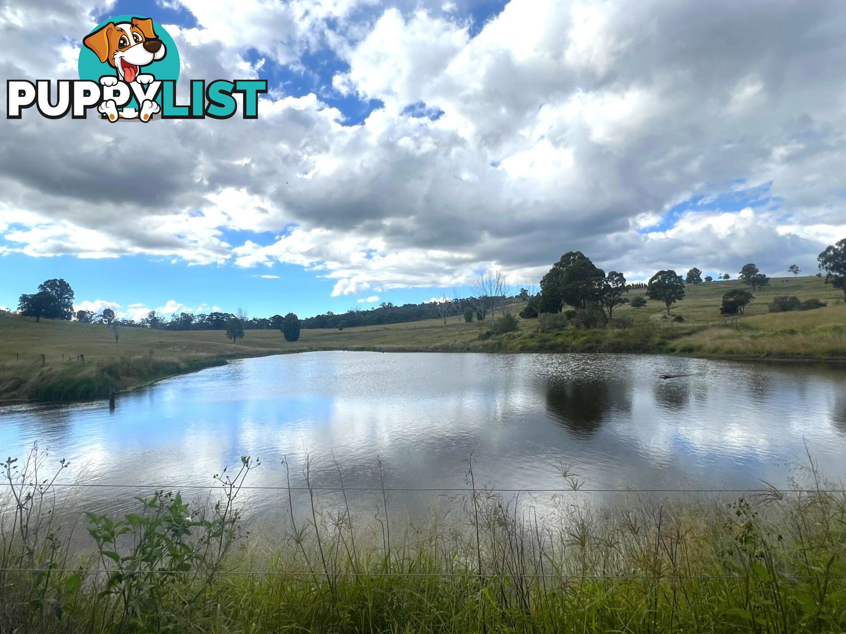 54 Majors Road NANANGO QLD 4615