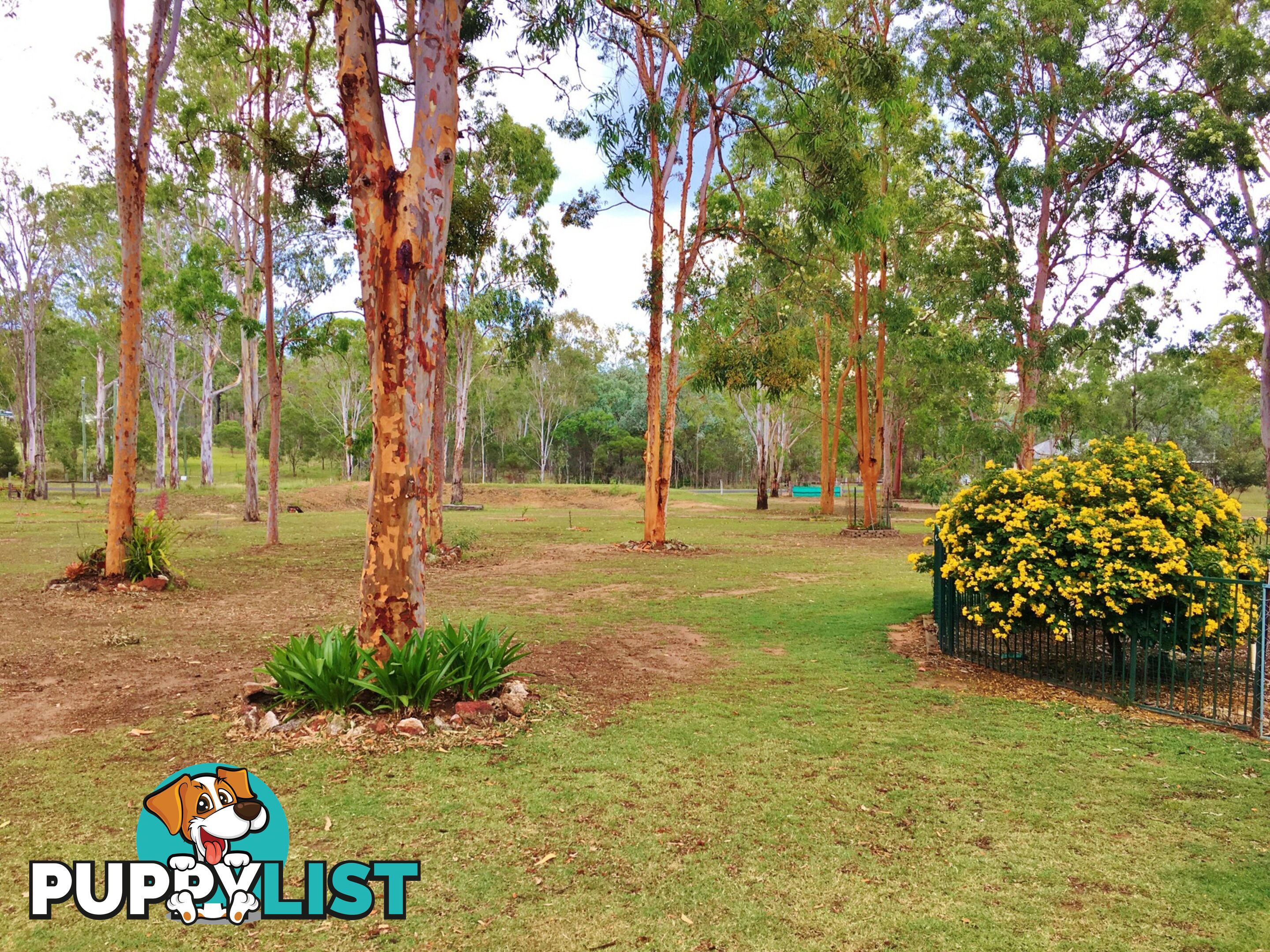 189 Brocklehurst Road WATTLE CAMP QLD 4615